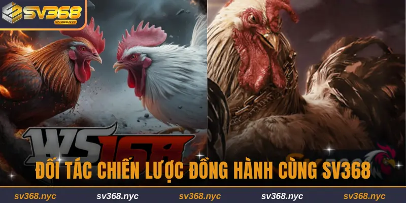 2 đối tác chiến lược đồng hành cùng SV368