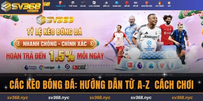 Các kèo bóng đá