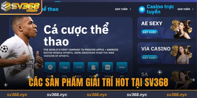 Các sản phẩm giải trí phổ biến tại nhà cái trực tuyến