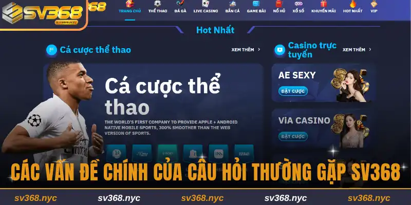 Các vấn đề chính trong câu hỏi thường gặp tại SV368