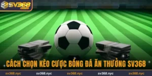 Cách chọn kèo cược bóng đá