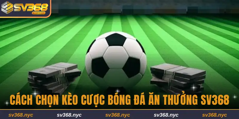 Cách chọn kèo cược bóng đá
