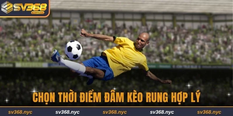 Chọn thời điểm đâm kèo rung hợp lý