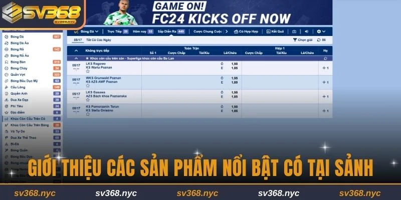 Giới thiệu các sản phẩm nổi bật có tại sảnh