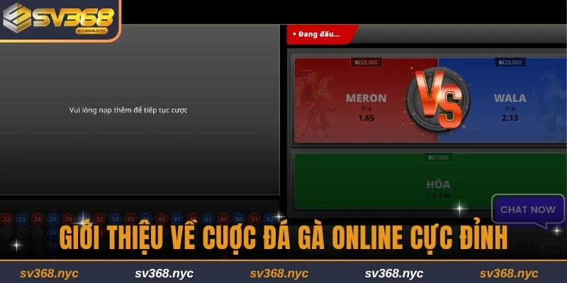 Giới thiệu về cuợc đá gà online cực đỉnh