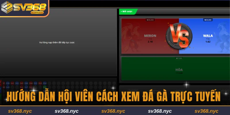 Hướng dẫn cách xem đá gà trực tuyến tại SV368