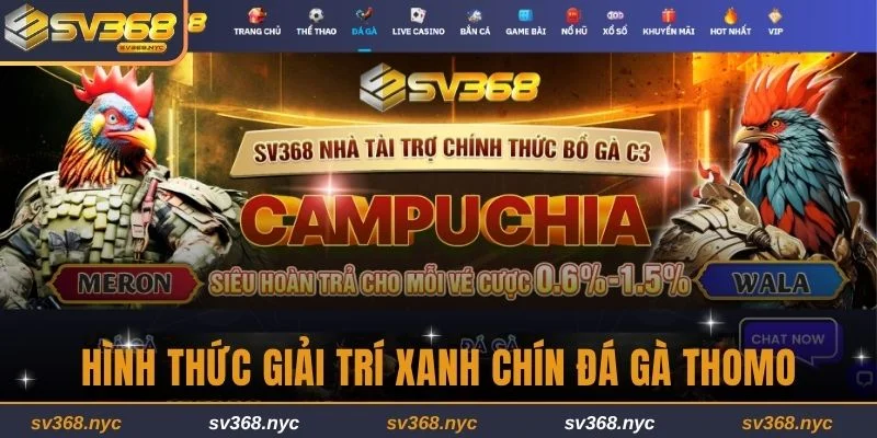 Vài nét về hình thức giải trí xanh chín đá gà Thomo