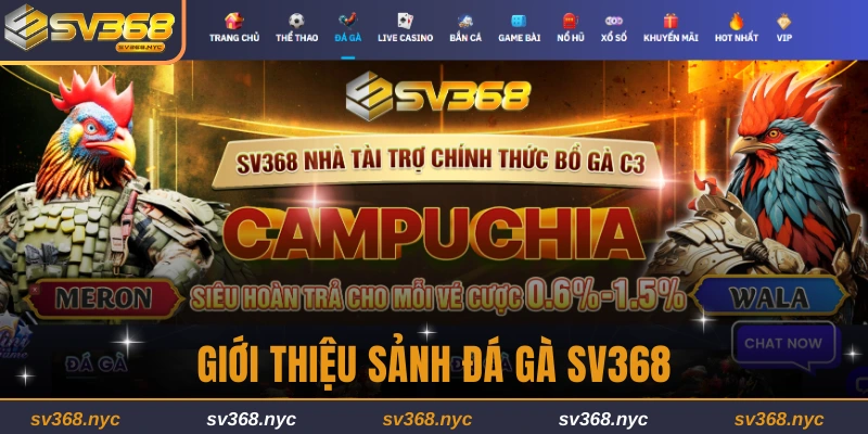 gioi-thieu-sanh-da-ga-sv368