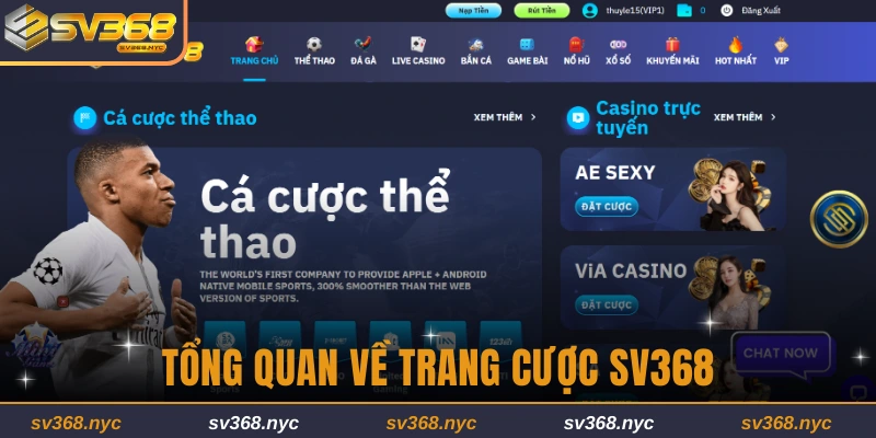 tong-quan-ve-trang-cuoc-sv368